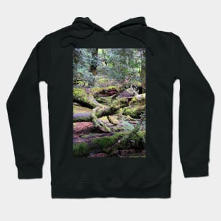 Enchanted Forest, Cradle Mountain, Tasmania, Australia Hoodie